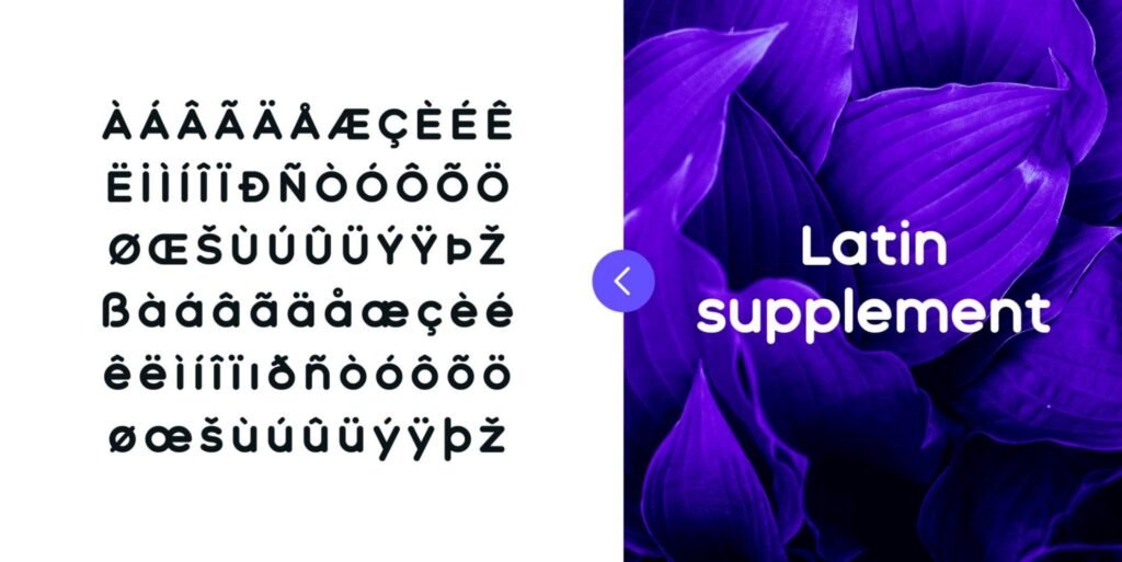 Overview of the special Latin characters of the Aqum font