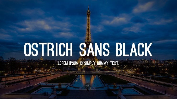 Presentation of the Ostrich Sans Black font with a photo of the effeil tower at night in the background